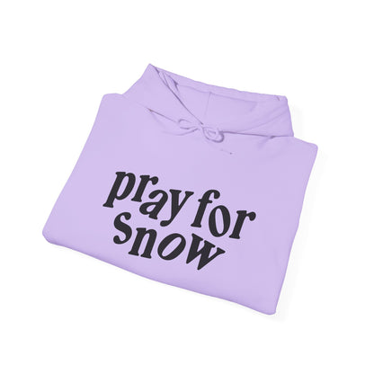 Pray for Snow / Powder to the People Hoodie