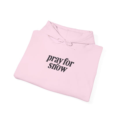 Ski Baby Hoodie