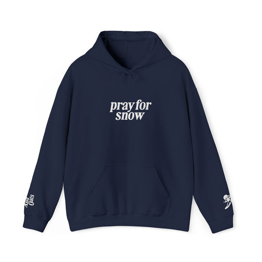 Pray for Snow Embroidered Hoodie