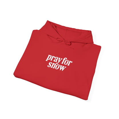 Ski Baby Hoodie