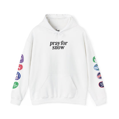 Ski Baby Hoodie