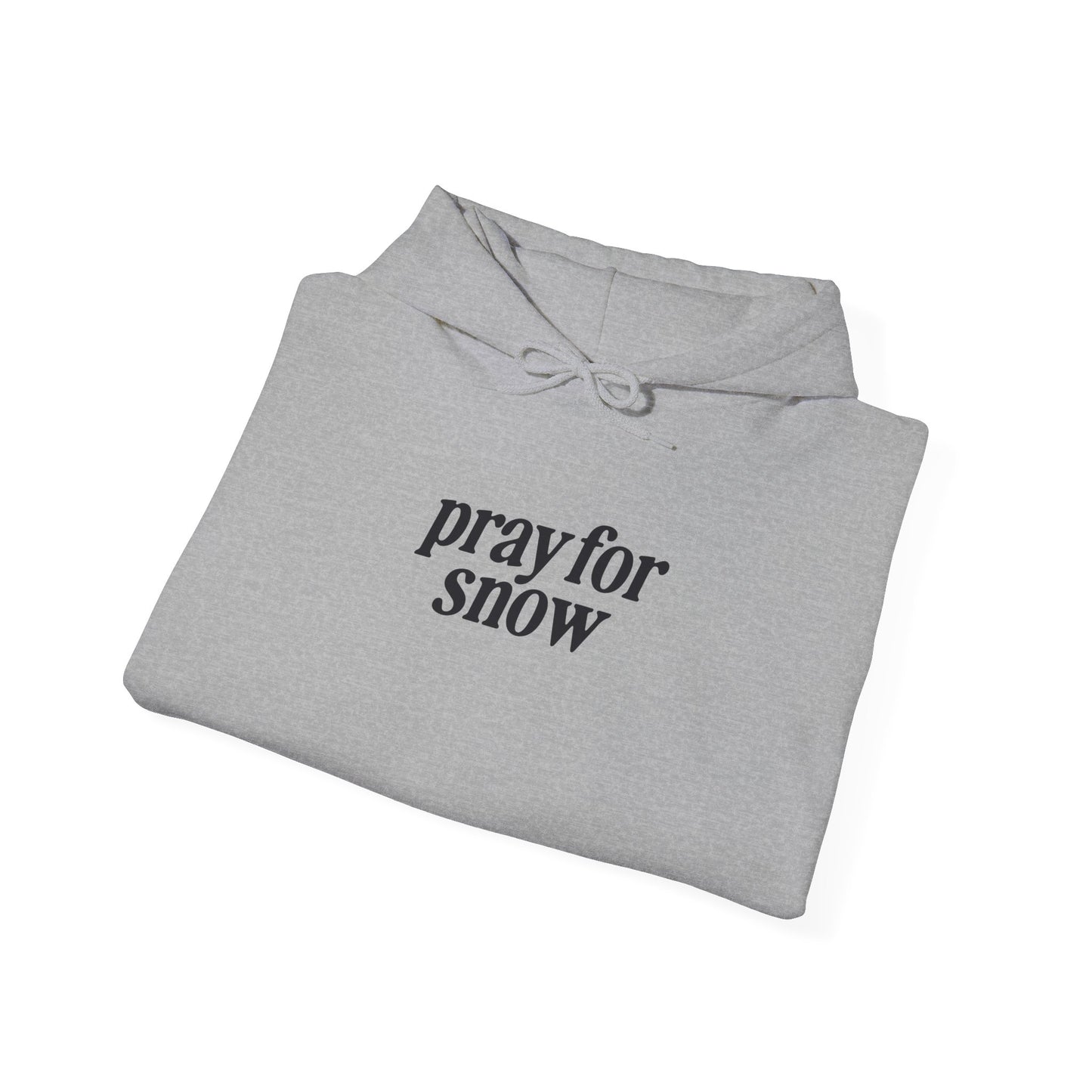 Ski Baby Hoodie
