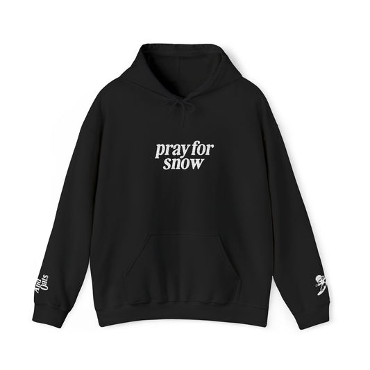 Pray for Snow Embroidered Hoodie