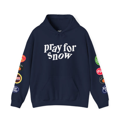 Pray for Snow / Powder to the People Hoodie