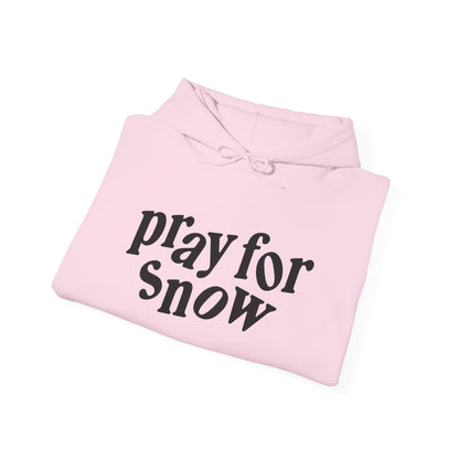 Pray for Snow / Powder to the People Hoodie