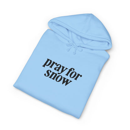 Ski Baby Heavyweight Fleece-Lined Hoodie