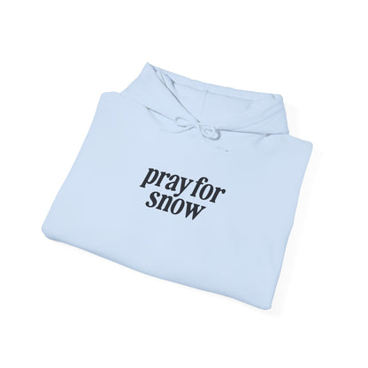 Ski Baby Hoodie