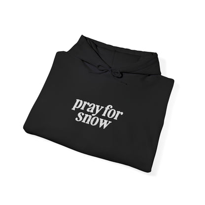 Pray for Snow Embroidered Hoodie