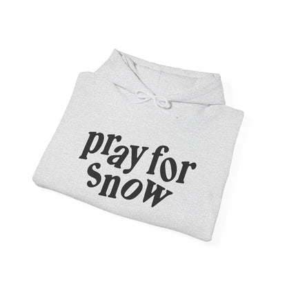 Pray for Snow / Powder to the People Hoodie