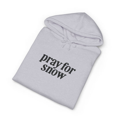 Ski Baby Heavyweight Fleece-Lined Hoodie