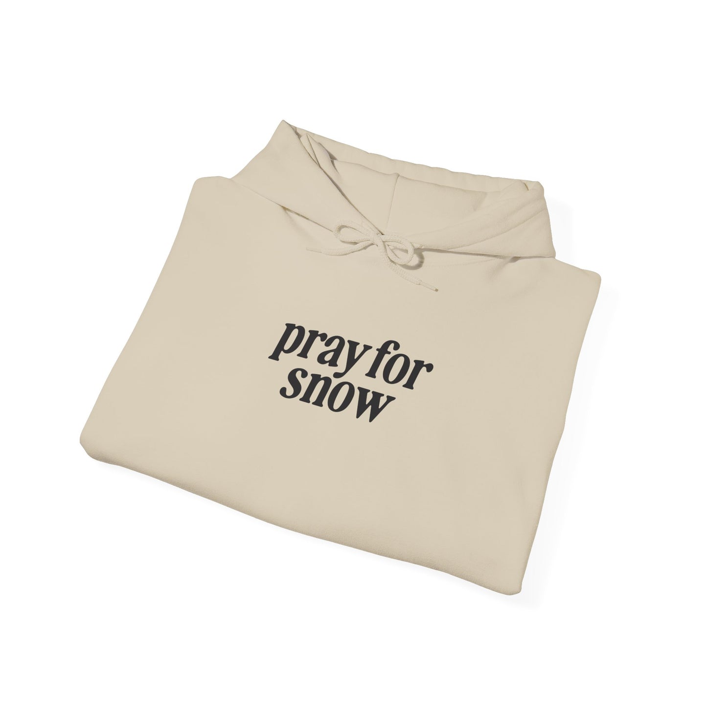 Ski Baby Hoodie