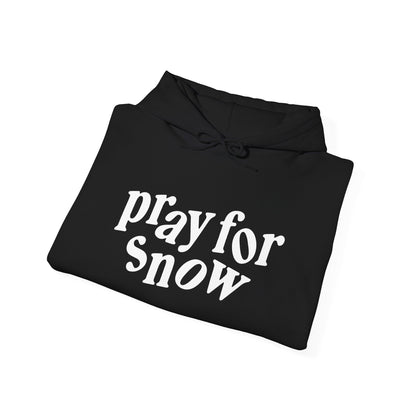 Pray for Snow / Powder to the People Hoodie