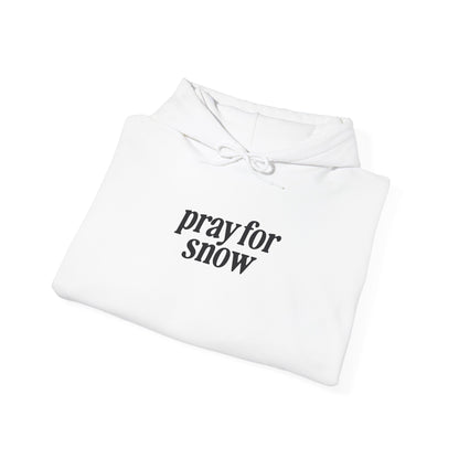 Ski Baby Hoodie