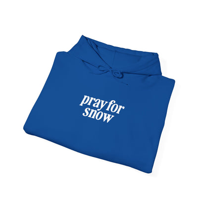 Ski Baby Hoodie