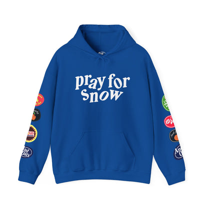 Pray for Snow / Powder to the People Hoodie