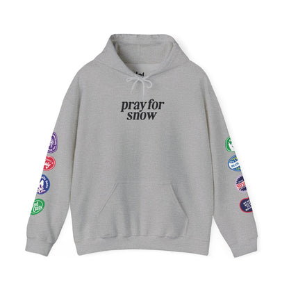 Ski Baby Hoodie