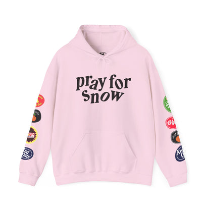 Pray for Snow / Powder to the People Hoodie