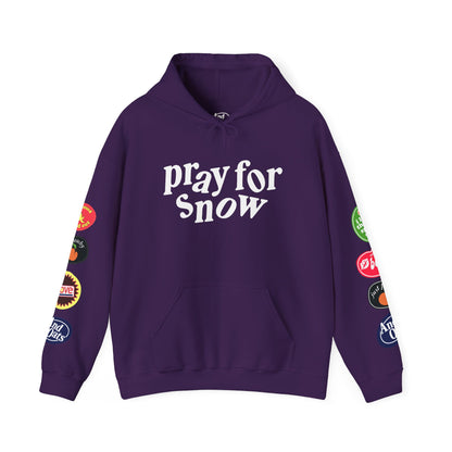 Pray for Snow / Powder to the People Hoodie