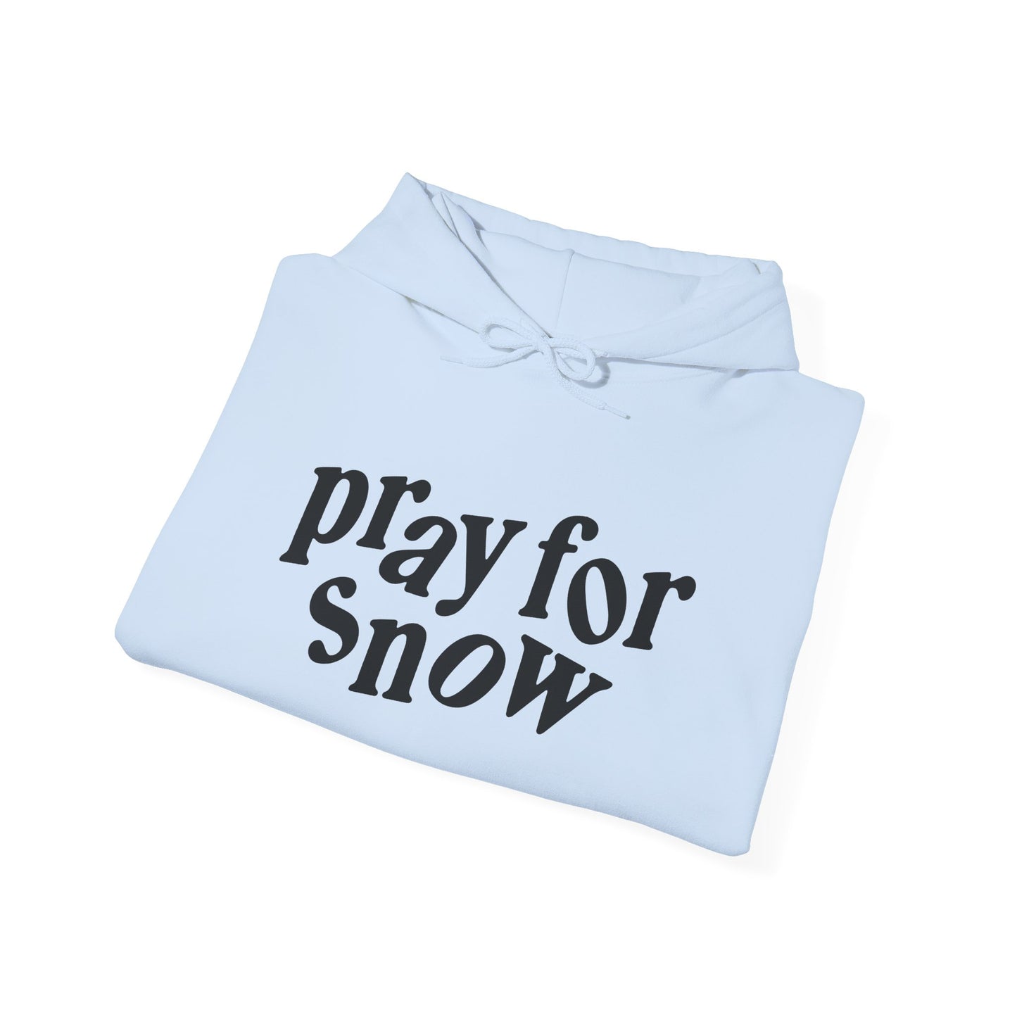 Pray for Snow / Powder to the People Hoodie